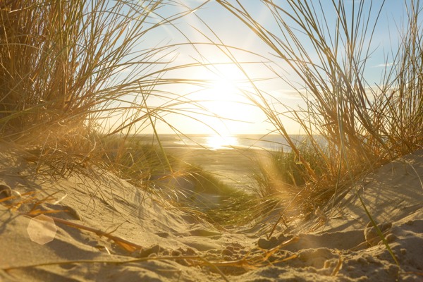 Vacances à la plage aux Pays-Bas