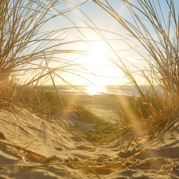 Aufenthalt an der Küste von Zeeland