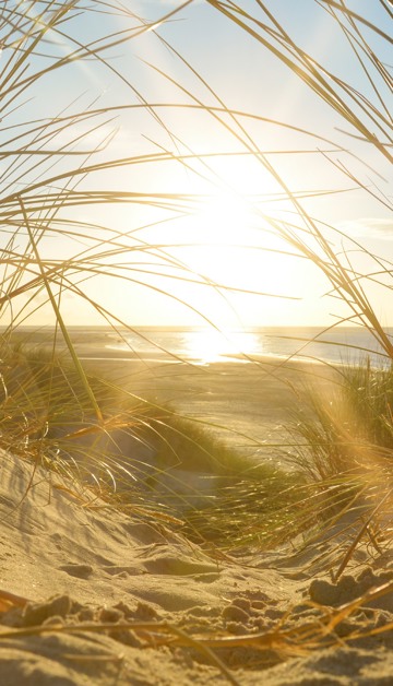 Geniet van een geweldig verblijf
aan de Zeeuwse stranden