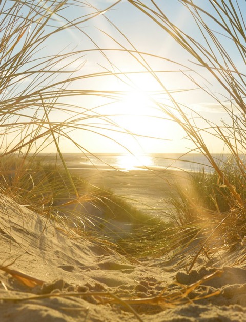 Enjoy a wonderful stay
by the Zeeland beaches