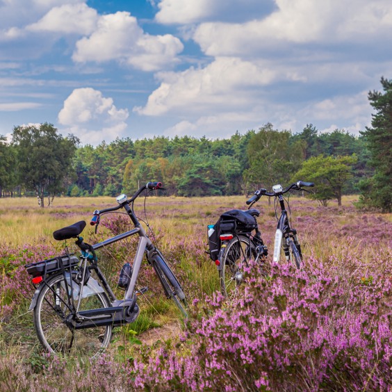 Ontdek mooie fietsroutes in de omgeving