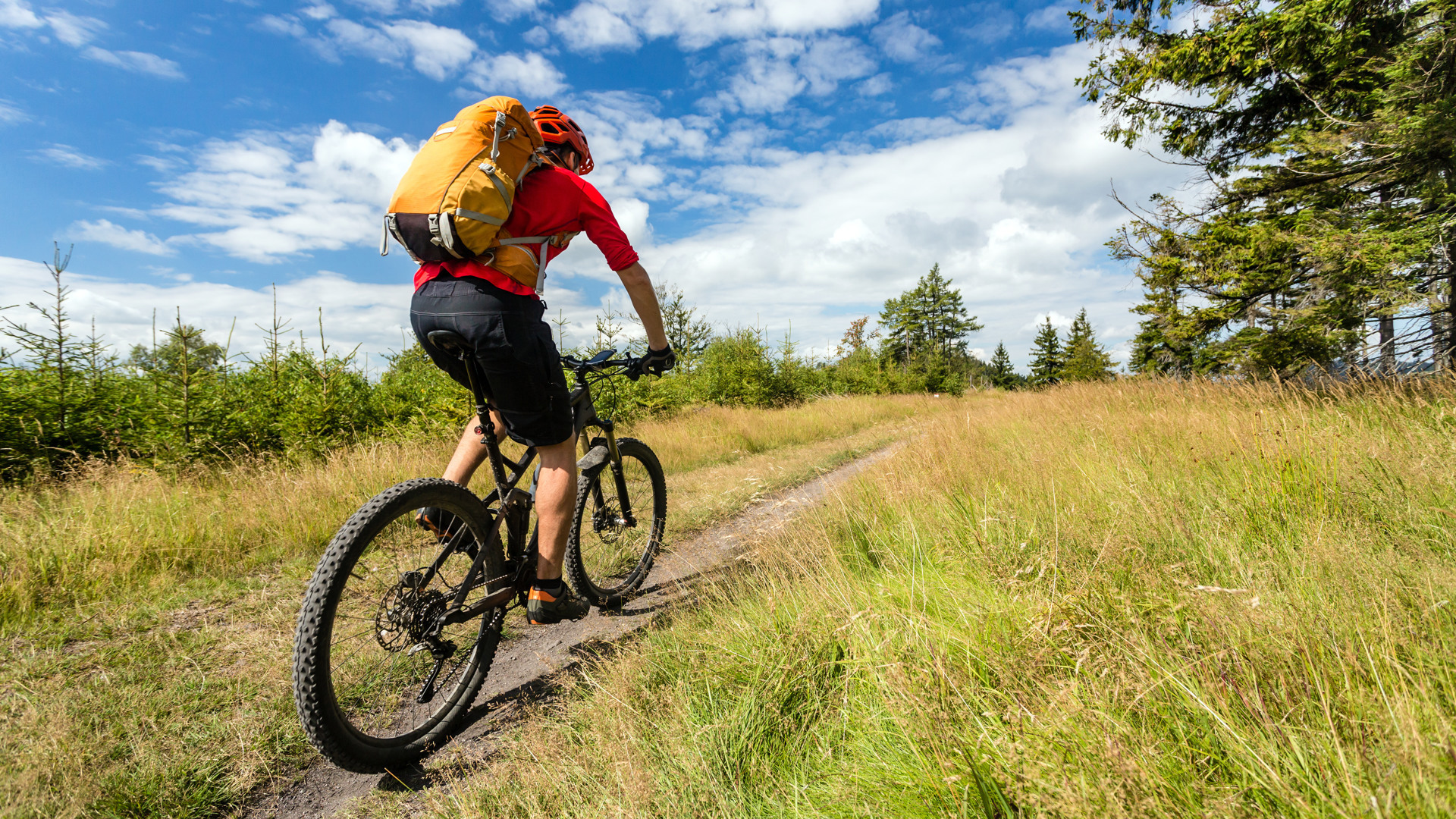 Walking and cycling through Herperduin nature reserve