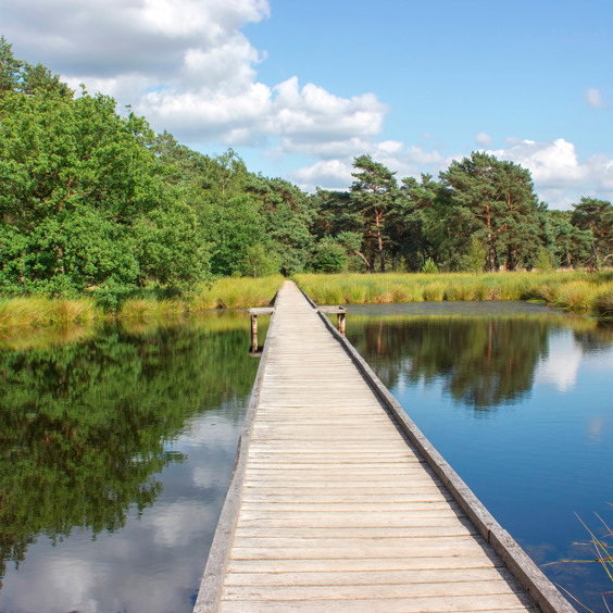 Beleef de leukste uitstapjes in de omgeving