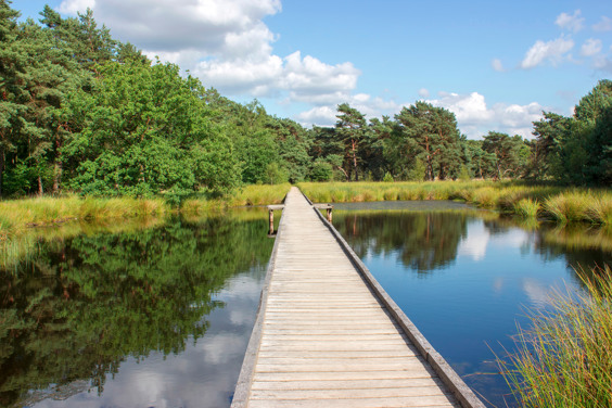Beleef de leukste uitstapjes in de omgeving
