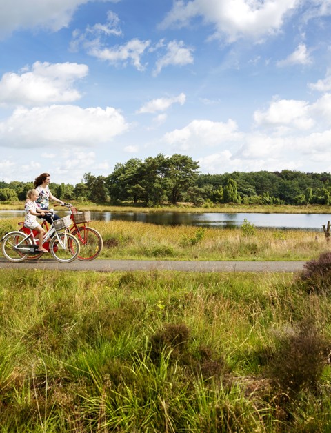 Geniet van een natuurrijke vakantie in Drenthe