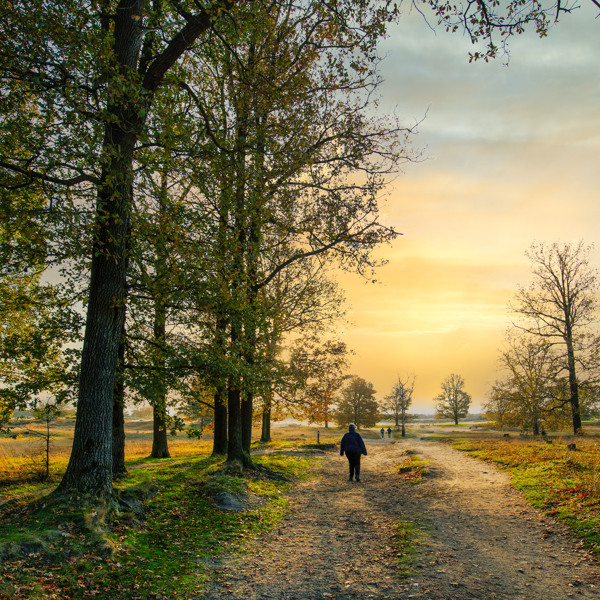 Tips in de omgeving