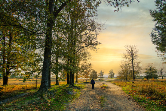 Kerstvakantie op de Veluwe