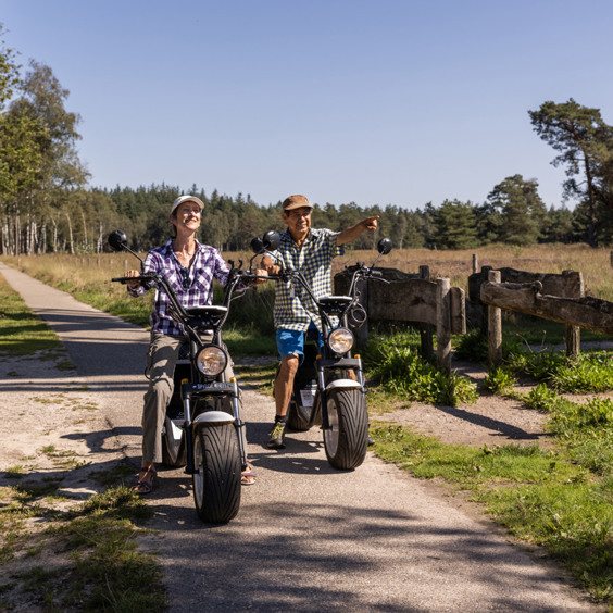 Warum einen Natururlaub in den Niederlanden wählen?