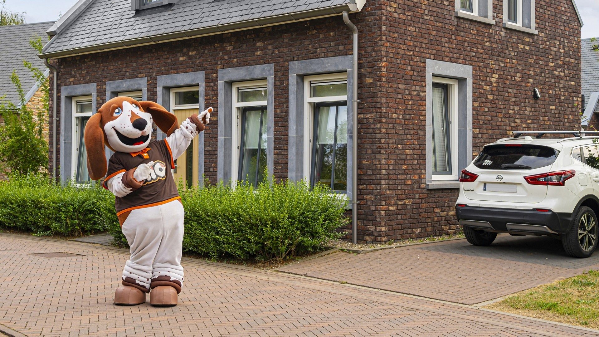 Wist je dat…