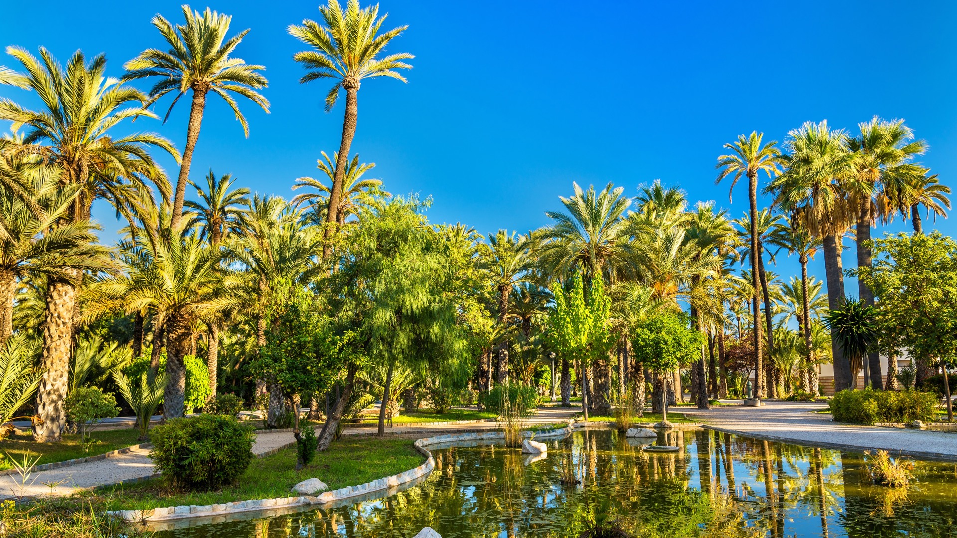 UNESCO-werelderfgoed Elche