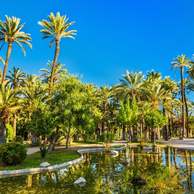 Elche