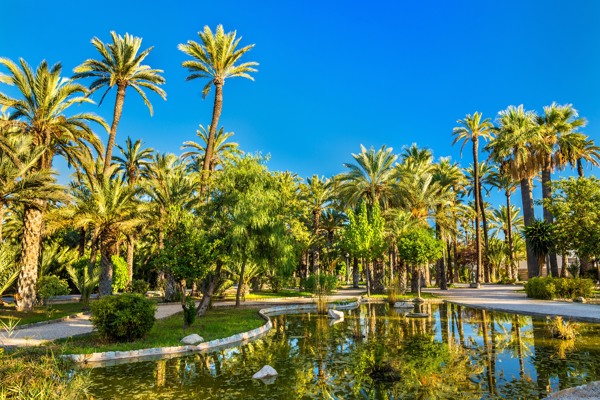 Visitez la ville d’Elche, classée au patrimoine mondial de l’UNESCO