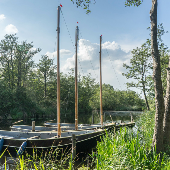 Verken het Nationaal Park Weerribben-Wieden
