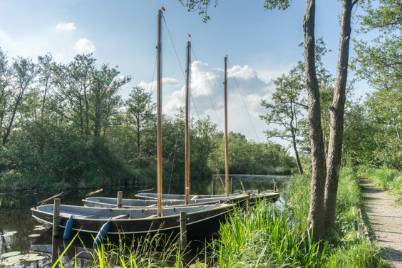 Verken het Nationaal Park Weerribben-Wieden