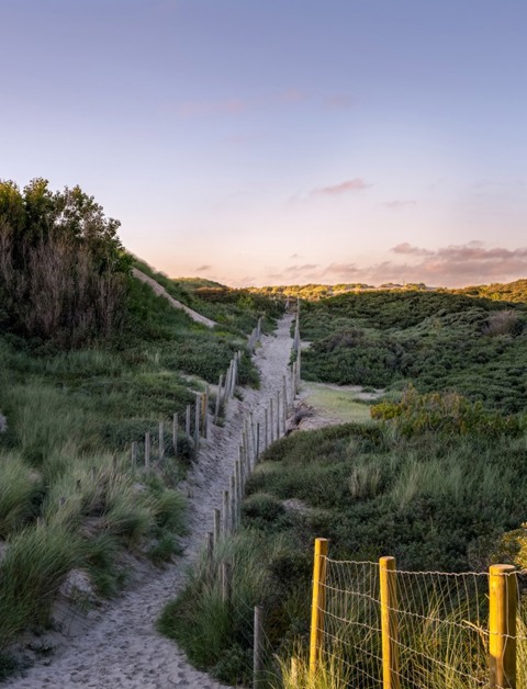 Découvrez Le Touquet-Paris-Plage :
une belle ville sur la Côte d'Opale