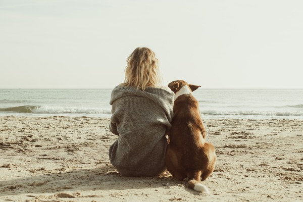 Vacances avec chien en Zélande