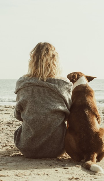 Would you like to enjoy a wonderful stay 
with your faithful four-legged friend?
