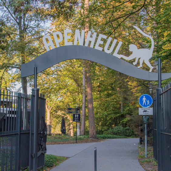 Beleef een dagje tussen de apen in de Apenheul