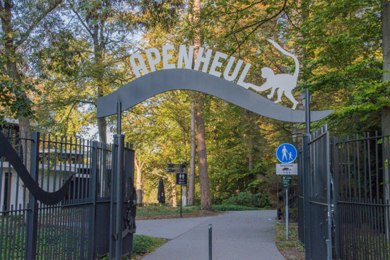 Beleef een dagje tussen de apen in de Apenheul