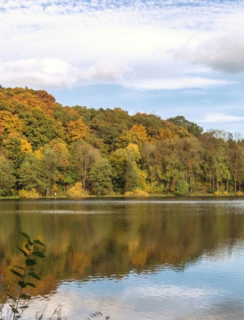 Experience a wonderful autumn holiday
in the Eifel