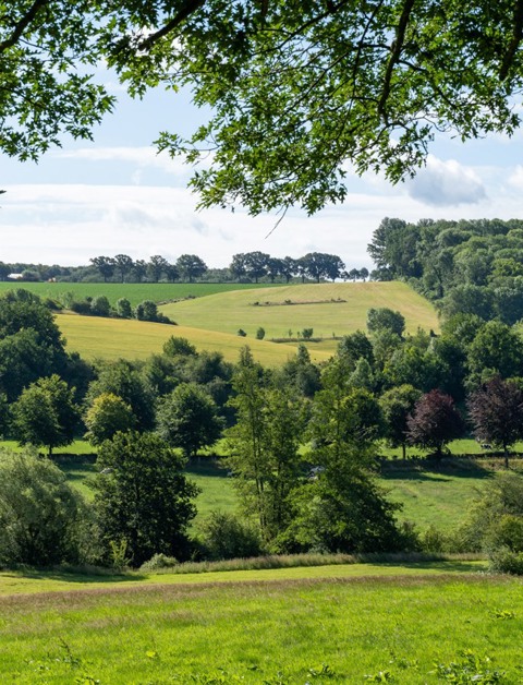 Enjoy the warm hospitality of the South Limburg region