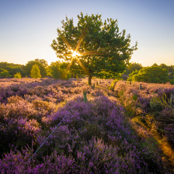 Top attractions in the area