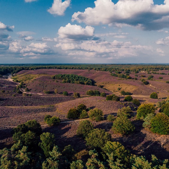 Geniet onderweg van de Veluwse natuur