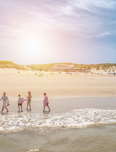Les meilleures excursions pour rendre inoubliables
vos vacances sur la côte zélandaise