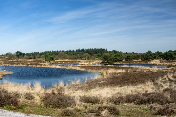 Ontdek de langste rivierduinengordel in het Nationaal Park De Maasduinen