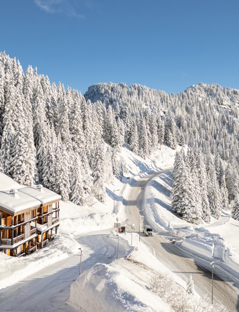 Profitez d’une location de vacances près de Morzine et vivez pleinement la montagne