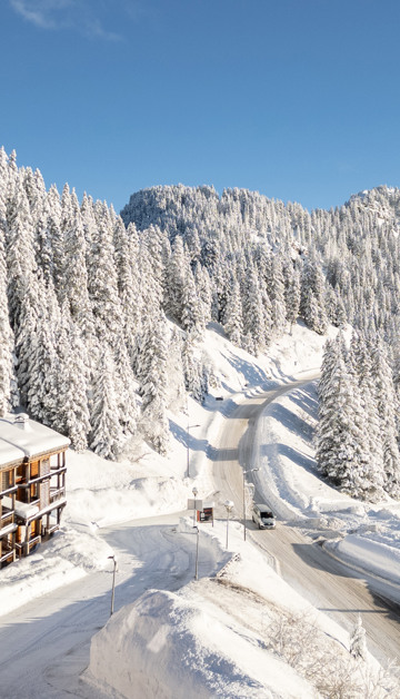 Profitez d’une location de vacances près de Morzine et vivez pleinement la montagne
