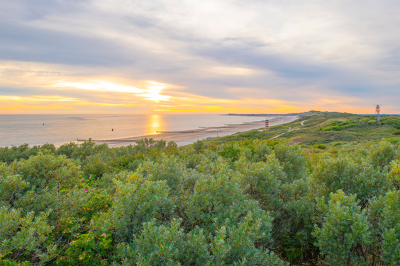 Explorez la belle nature de Walcheren