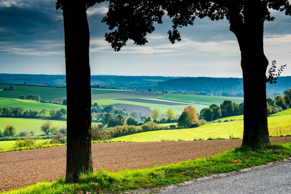 Ontdek de prachtige omgeving