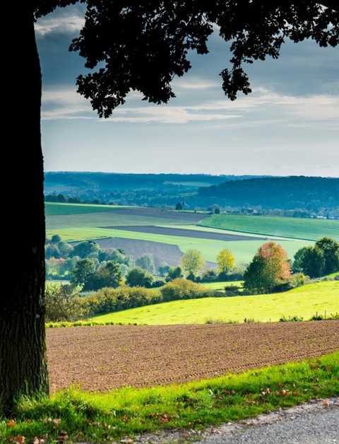 Ontdek het prachtige zuiden van Limburg
tijdens een weekendje weg