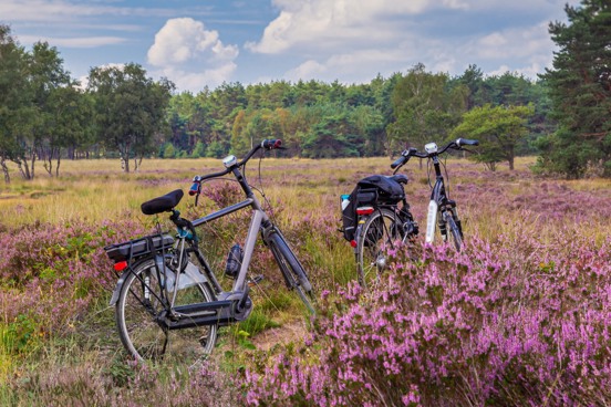 Fietsen op de veluwe