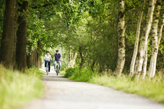 Waarom een fiets huren op De Hondsrug?