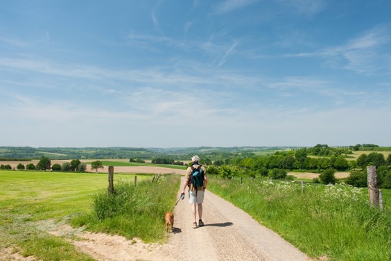 Tip 2: Ontdek in de zomer het adembenemende Limburgse heuvellandschap ter voet