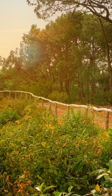 Boek nu met € 100 korting