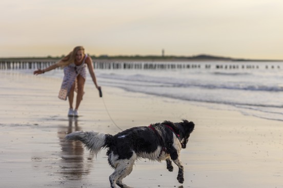On vacation with your dog to another place in Zeeland?