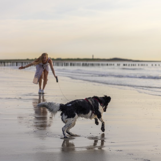 Vakantie aan de kust met je viervoeter