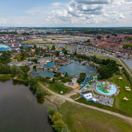 Bewonder dolfijnen bij het Dolfinarium in Harderwijk