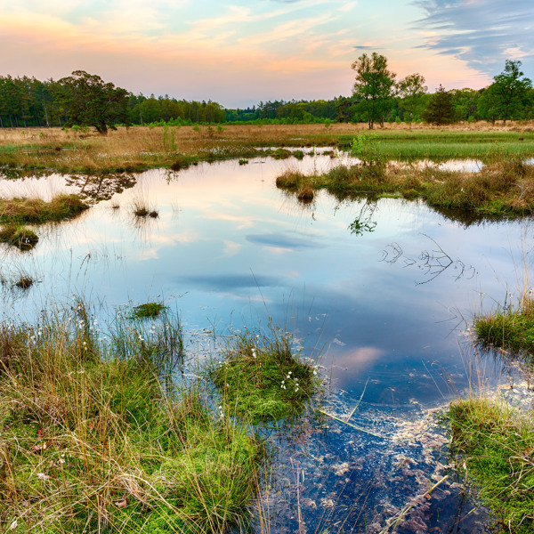 Faciliteiten in de omgeving van Summio Landgoed Het Grote Zand