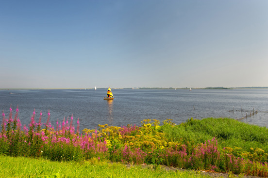 Geniet van de natuur tijdens je verblijf op een vakantiepark in Groningen