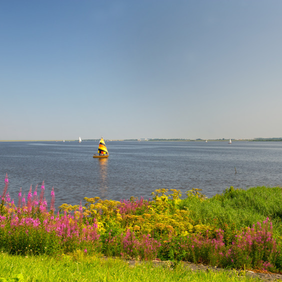 Enjoy nature during your stay at a vacation park in Groningen