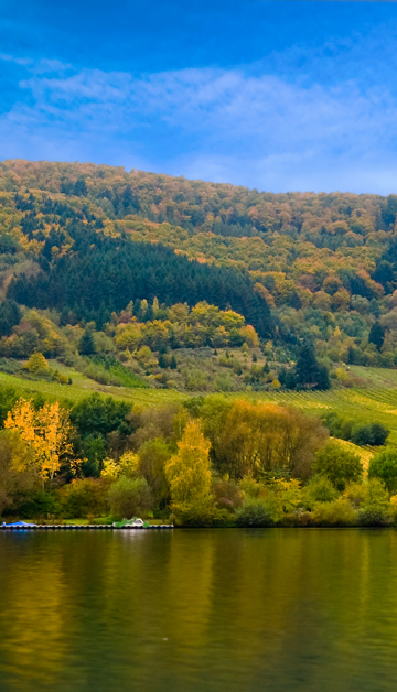 Enjoy nature in Eifel National Park,
right beside Dormio Resort Eifeler Tor