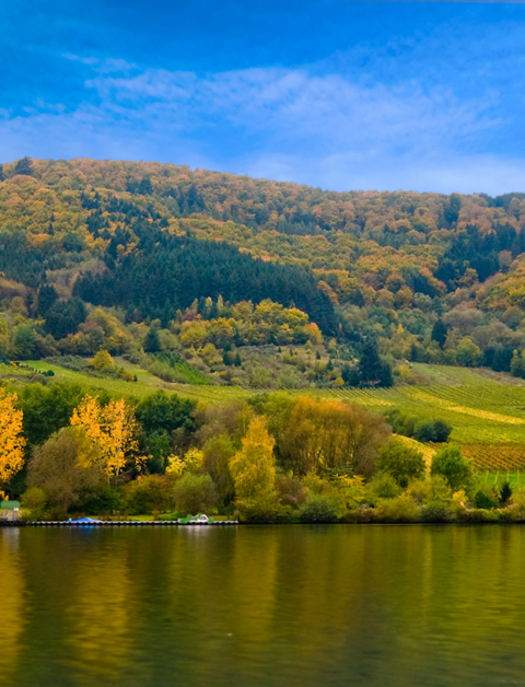 Geniet van de natuur in het Nationaal Park Eifel,
direct naast Dormio Resort Eifeler Tor