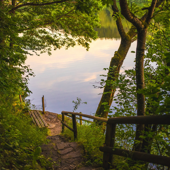 Nationaal Park Eifel ontdekken