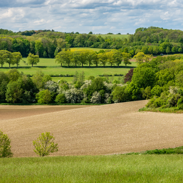 Book a stay at a holiday park in Limburg