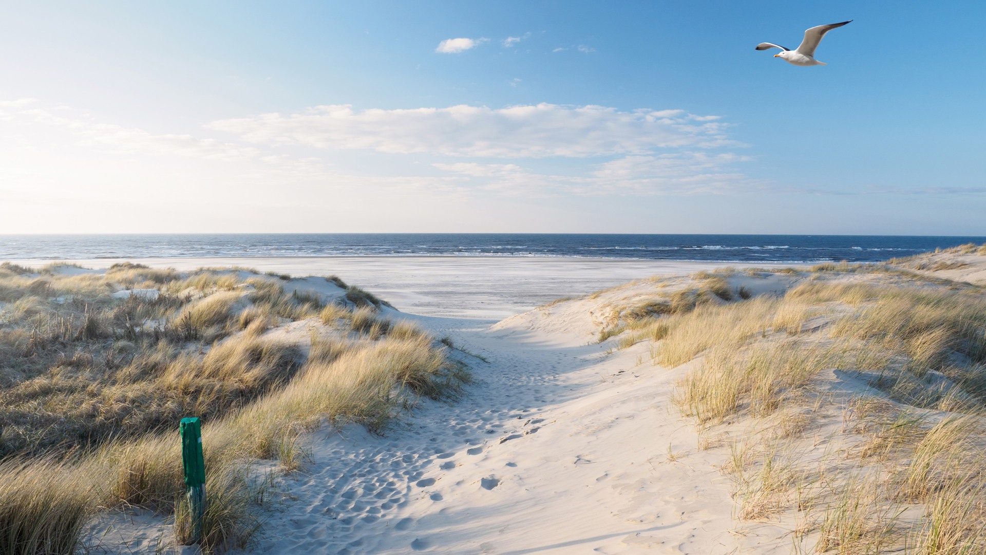 Wist je dat…