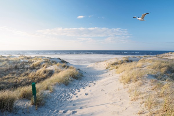 Vacances en Zélande